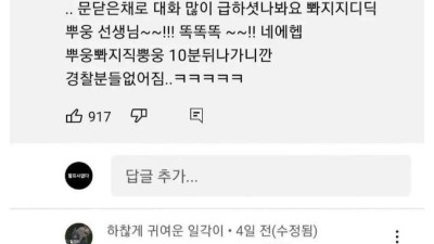 경찰도 봐준 갓길운전.jpg