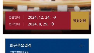 의외로 헌법재판소 가야 할 사정인것