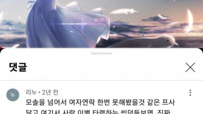 유투브 댓글 대학살