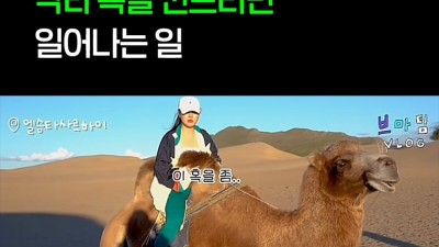 낙타 혹 건드렸을 때 반응.mp4