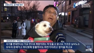 너무 귀여웠던 뉴스 자막