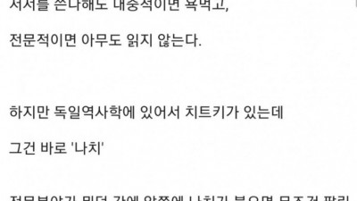 나치가 대단한 이유.