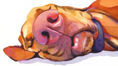 사랑스러운 반려동물 수채화