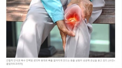 간헐적 단식하면 뼈도 젊어진다.