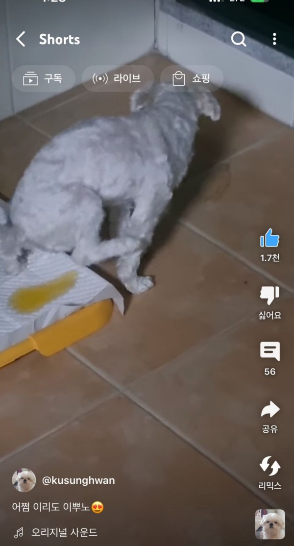 2728294355_3XkBl0LG_1717207534.jpeg