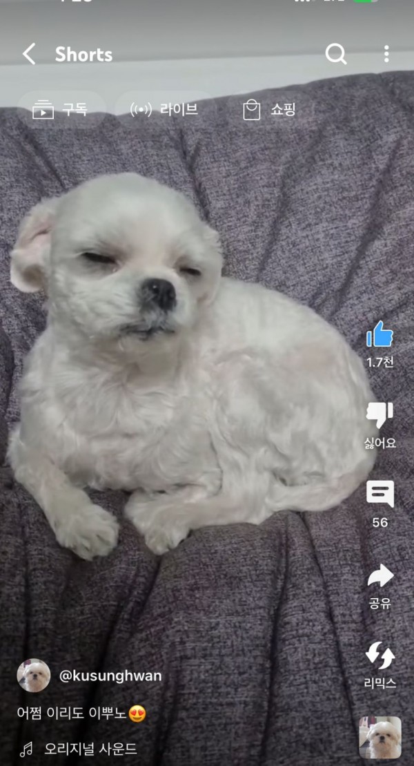 2728294355_6pZXds3O_1717207533.jpeg
