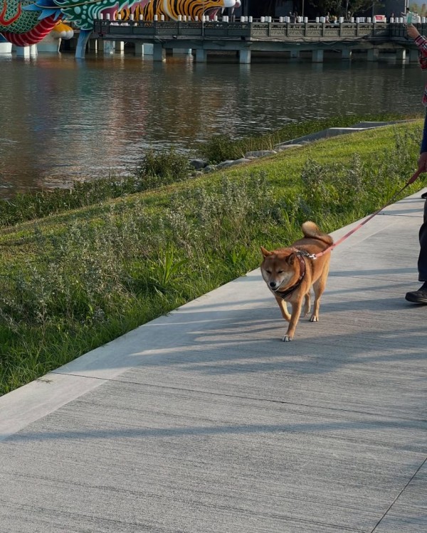 1090285573_lDp8BZTX_1740706377.jpeg