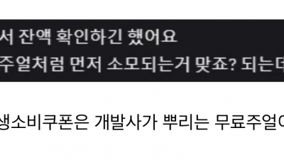 민생 소비쿠폰을 이해한 오타쿠