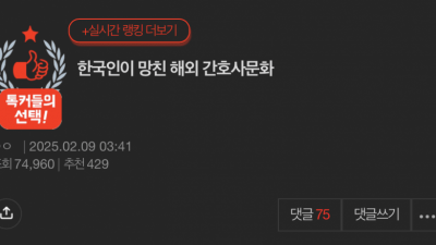 한국인이 망친 해외 간호사 문화