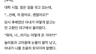 은근 강한 T라는 대구사람들