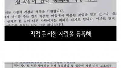 캣맘들이 사라진 이유