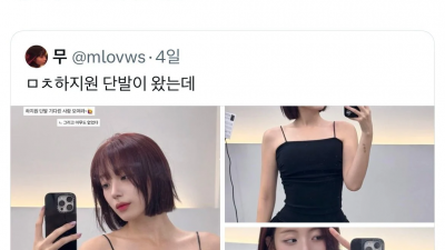 진심 이 치어리더 올라올때마다 짜증나