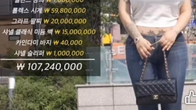 몸에 걸친게 1.07억