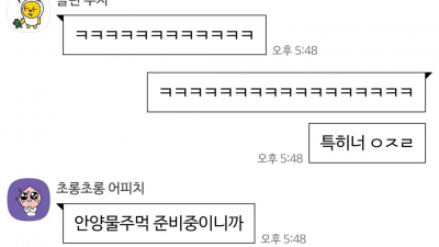서른셋 남자새끼들 카톡