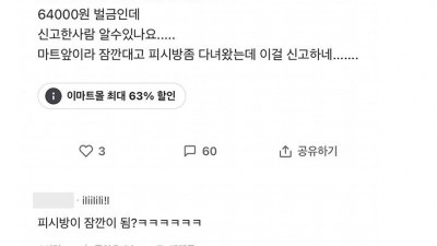 사회초년생 차산지 한달만에 과태료