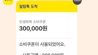 싱글벙글 다썻더요 민생쿠폰 근황
