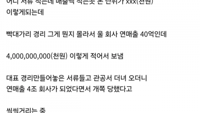 경리 때문에 우리 갑자기 중견기업 되버림