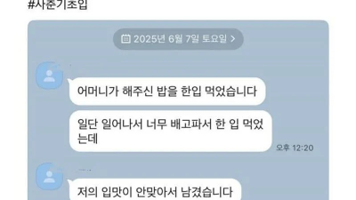 초6 아들에게 밥해준 엄마가 받은 카톡