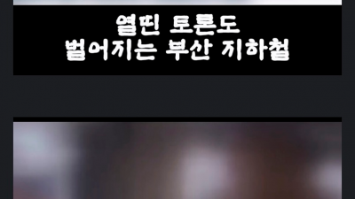 전장연 지하철 분탕질 모범대처법