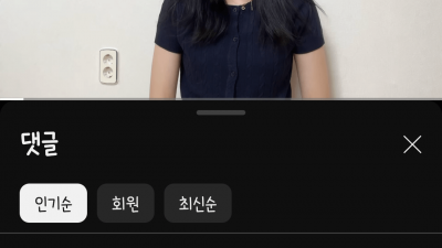 일본에 살고 있다고 구라치고 걸린 유튜버 사과 영상 댓글