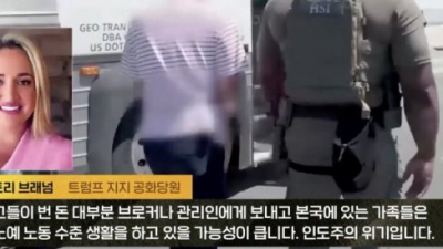 병신련이 조지아 한국인 신고한 이유