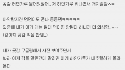 곶감때문에 공항검색대에서 걸린 썰
