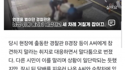 데이트폭행 신고자를 구타한 경찰