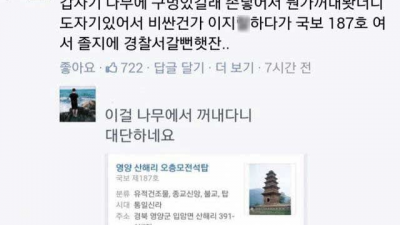 나무 구멍에 손 넣었다 국보 꺼낸 사람 ㄷㄷㄷ;;