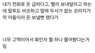아들의 취미 덕분에 보이스피싱을 피한 어머니