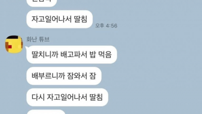 페미가 생각하는 한남의 하루