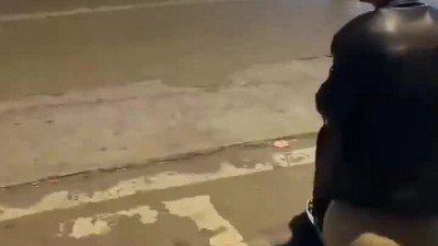 약혐) 중국 싸튀충