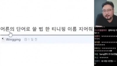 어른의 단어로 쓸법한 티니핑 이름 지어줘