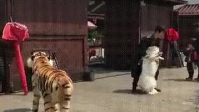 호랑이 인형 보고 난리난 개 .gif
