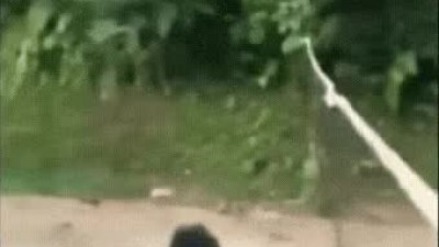 동네 배구에서 시간차 페이크 공격.gif