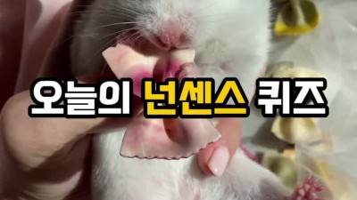오늘의 넌센스 퀴즈.mp4