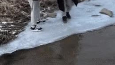 함정에 빠지게 한 친구.gif