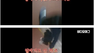 로트와일러 견주의 변