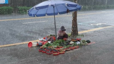 가슴 아픈 장마 사진