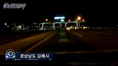  고속도로 로드킬