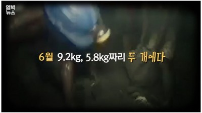 코로나19 덕분에 돈벼락
