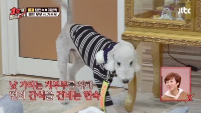  개라면 질색하던 최양락