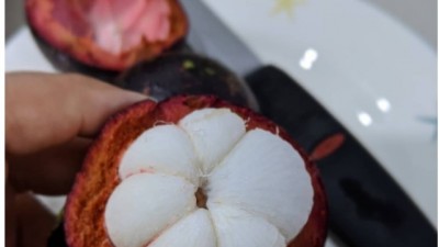  한국에서 인기 없는 과일